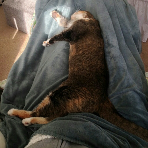 Meet your Posher, C4T_N4NCY! - Picture 5 of 8